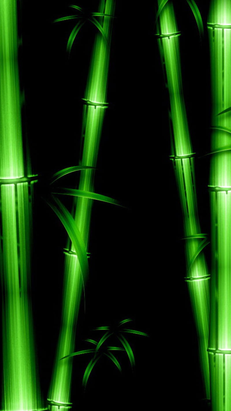 Green Bamboo, nature, HD phone wallpaper | Peakpx