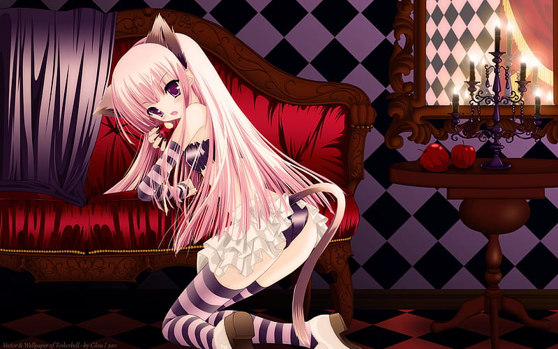 Catgirls Chocola & Vanilla, chocola and vanilla, rose, two girls,  thighhighs, HD wallpaper