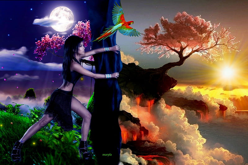 night&day, sun, grass, vase, sunset, parrot, swan, fantasy, moon, musician, painting, waterfall, flowers, sunrise, evening, night, cloud, sky, trees, living, tree, water, girl, magical, day, ivy, landscape, HD wallpaper