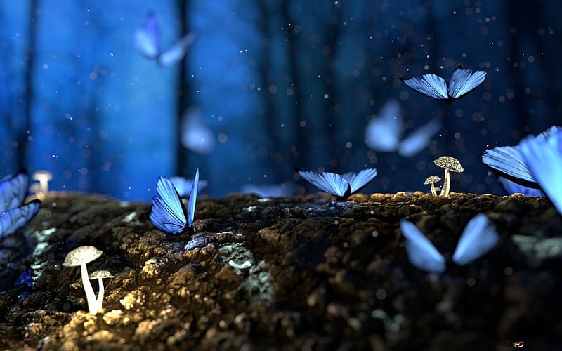 Blue butterflies on the tree, termeszet, kek, gomba, magikus, erdo, pillangok, HD wallpaper