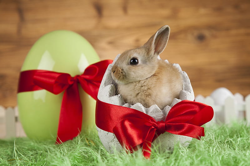 Happy Easter!, bow, bunny, easter, rodent, card, red, rabbit, animal, cute, egg, green, HD wallpaper