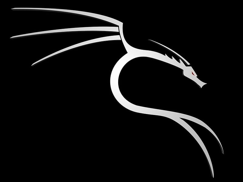 debian logo black