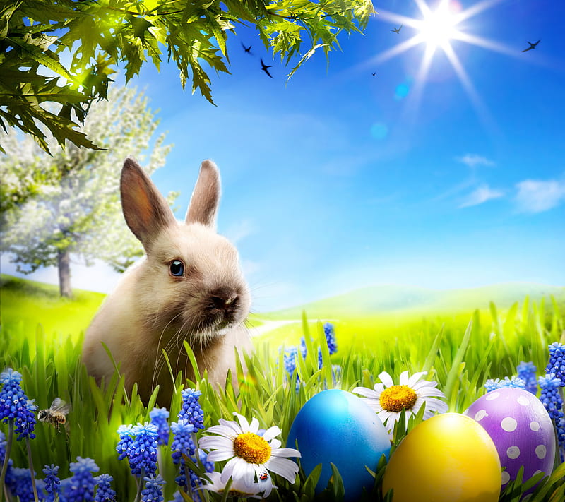 Easter Time, bunny, cute, eggs, flowers, meadow, spring, sunshine, HD wallpaper