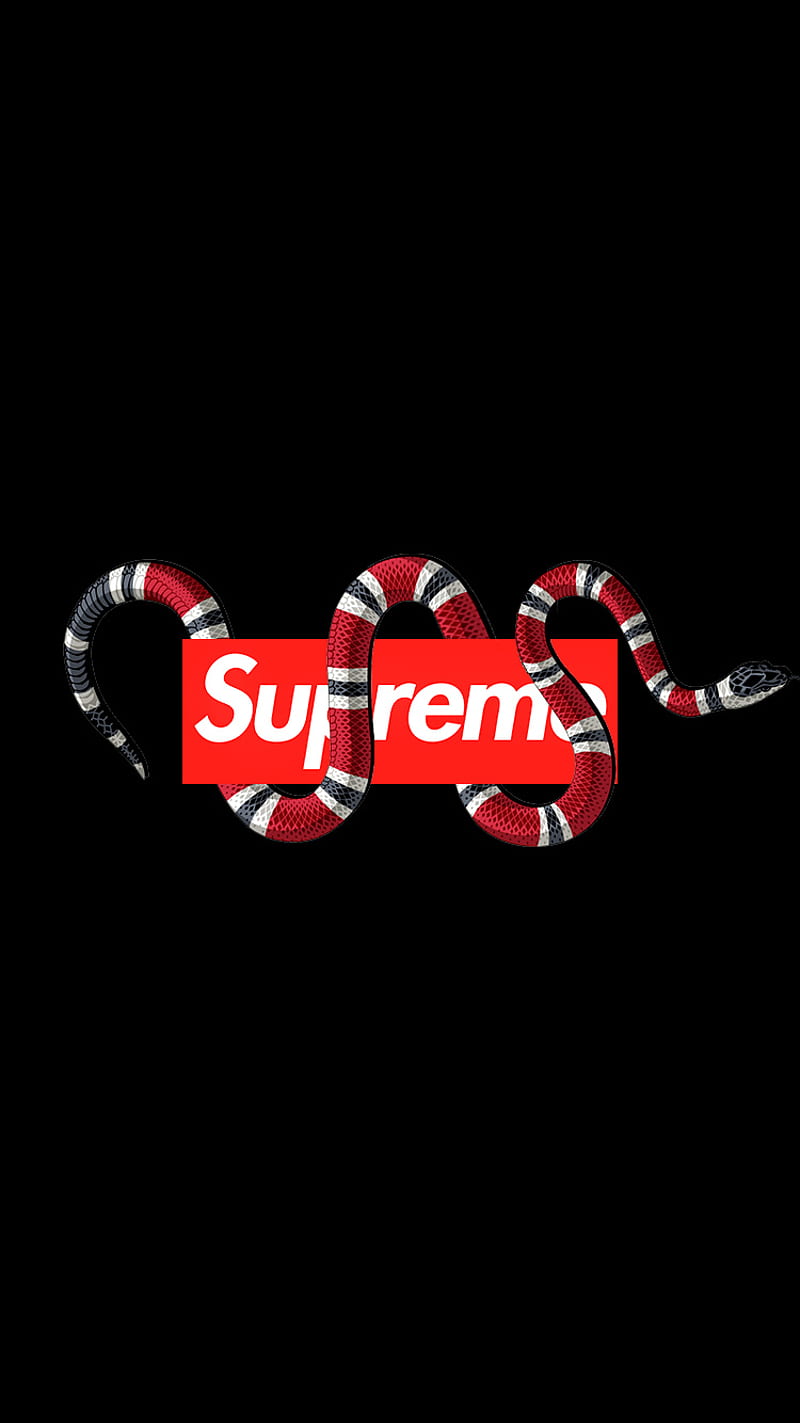 Gucci supreme, snakes, HD phone wallpaper