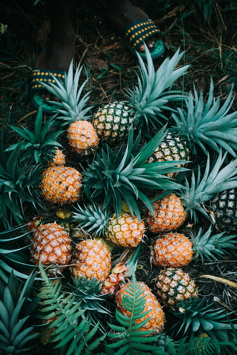 Flat Lay Graphy Of Bunch Of Ripe Pineapples Hd Phone Wallpaper Peakpx