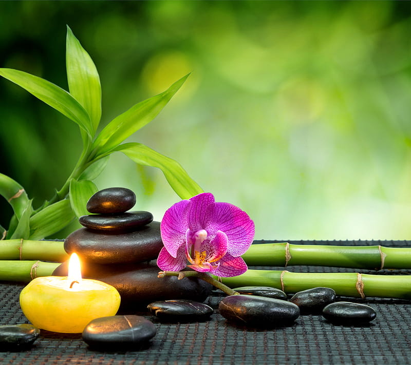 Relaxing Spa, bamboo, orchid, relax, stones, zen, HD wallpaper