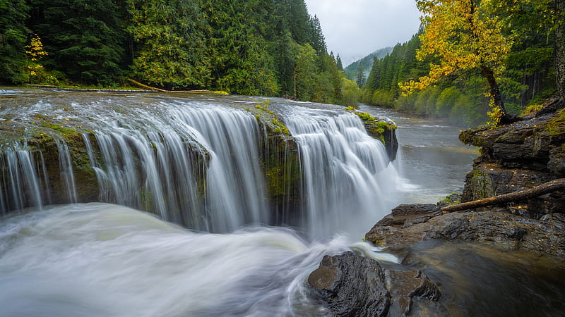 Forest Lower Lewis River And Waterfall Nature, HD wallpaper