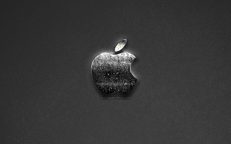 Apple logo, gray background, creative metal logo, emblem, Apple, HD  wallpaper | Peakpx
