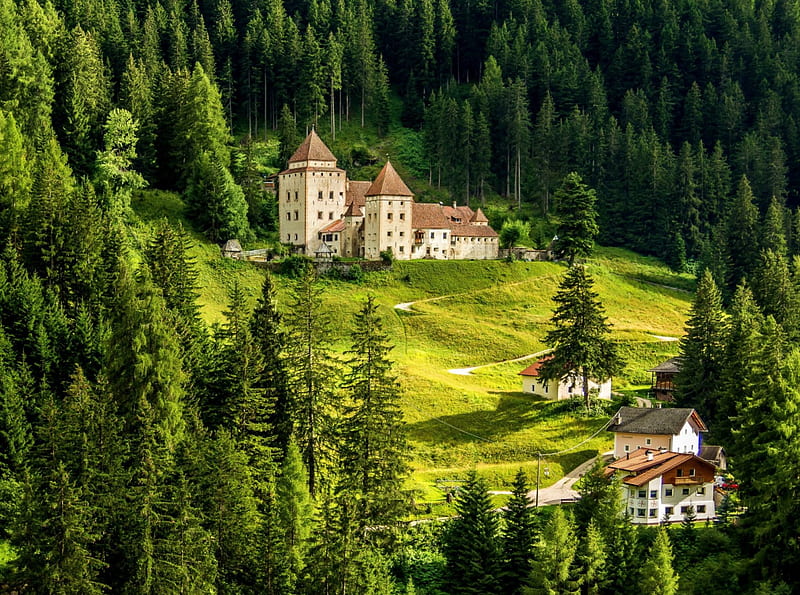 Gardena Castle, forest, Italy, buildings, bonito, mountains, summer, Mediaeval, green grass, castle, HD wallpaper
