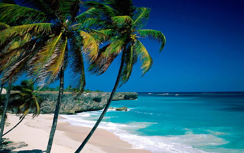 White Sandy Beach, rock, ocean, trees, sky, palms, beach, sand, water, nature, island, white, blue, HD wallpaper