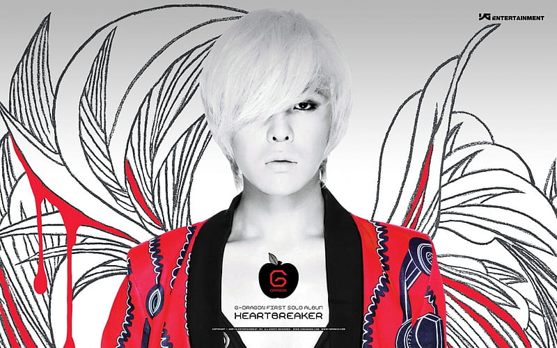 g-dragon solo album, korean, singer, asia, people, HD wallpaper