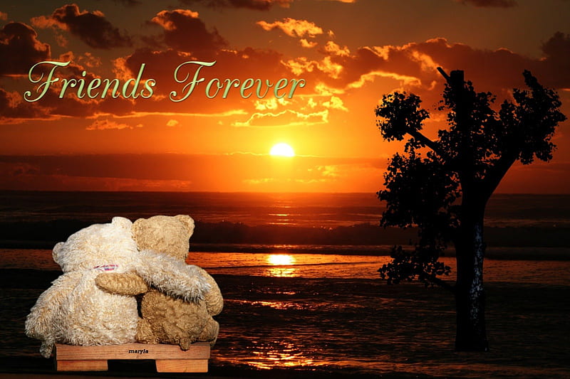 friends forever, friend, teddy, ocean, bear, sunset, sea, tree, siempre, summer, nature, HD wallpaper