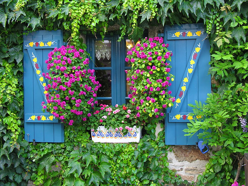 Floral window, pretty, rural, colorful, house, lovely, window, greenery, home, bonito, floral, countryside, leaves, summer, flowers, HD wallpaper