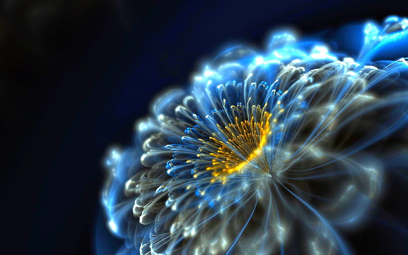 NEON FLOWER, closeup, neon, glow, blue, HD wallpaper | Peakpx