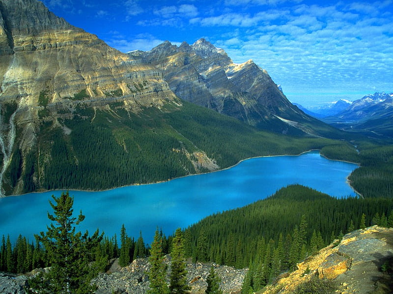 LAKE PEYTO CANADA, lakes, blue, mountains, canada, HD wallpaper