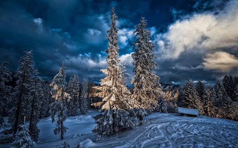 Switzerland, Alps, winter, beatiful nature, forest, clouds, Europe, Swiss Alps, HD wallpaper