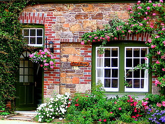 house window wallpaper