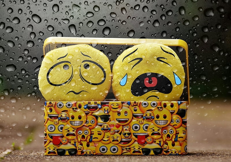 Smile Cry Box, funny, smile, rain, box, HD wallpaper