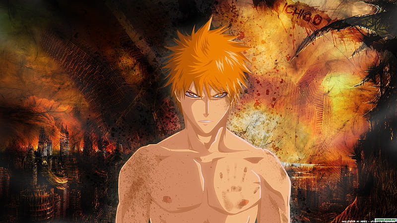 Ichigo Kurosaki - wide 8