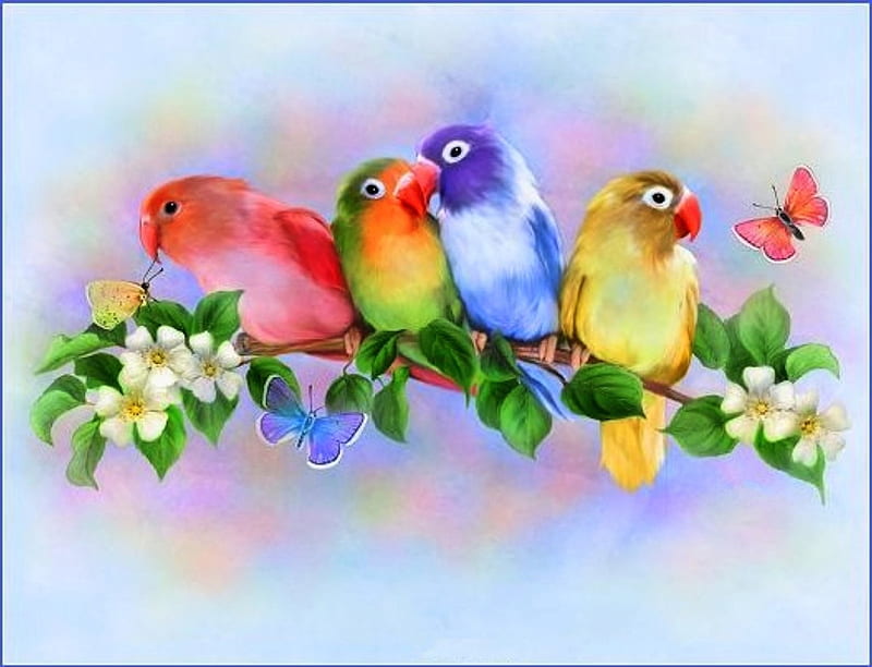 Perched, outdoor nature, budgies, birds, flowers, nature, colours, HD wallpaper