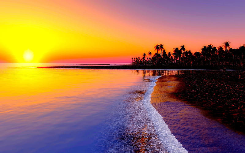 beach tropics palm trees sunset-nature, HD wallpaper