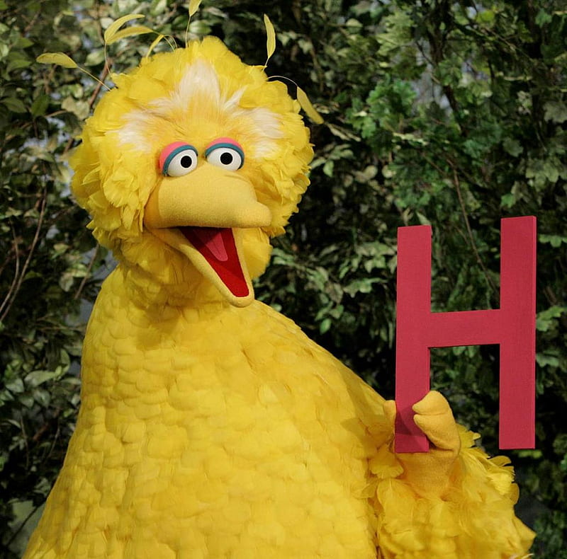 Big Bird - Sesame Street, bird, big, family show, yellow, tv, friendly, HD wallpaper