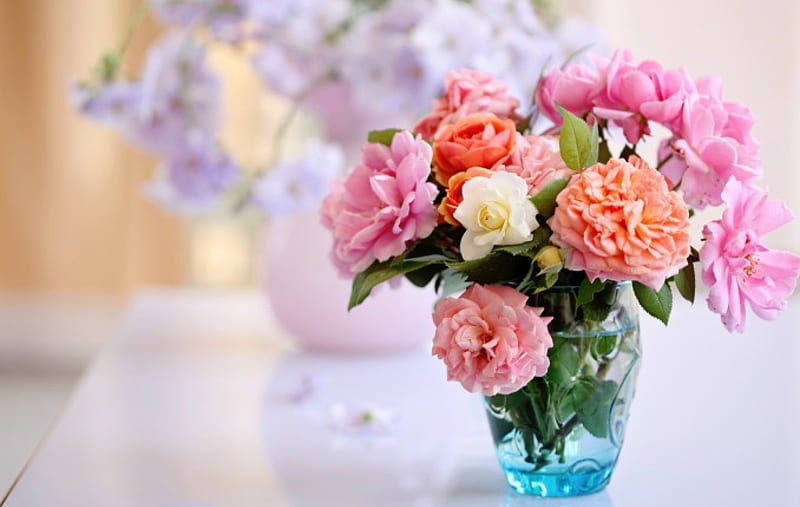 Beautiful Flower for Dear Friend Ninika, rose, flower, flowers, vase,  still-life, HD wallpaper | Peakpx
