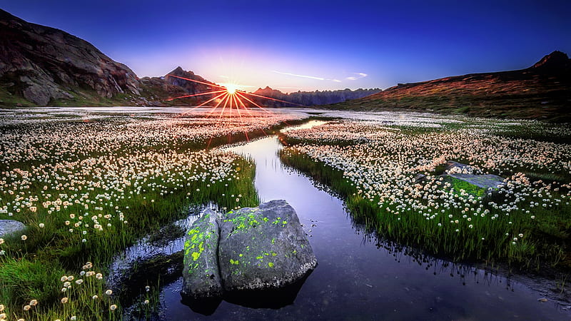 Alpine sunrise, Alps, amazing, bonito, Switzerland, sky, lake, rays, flowers, sunrise, HD wallpaper