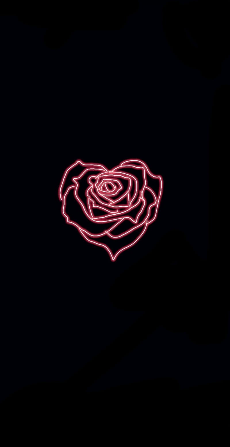 Inima, trandafir, romania, HD phone wallpaper