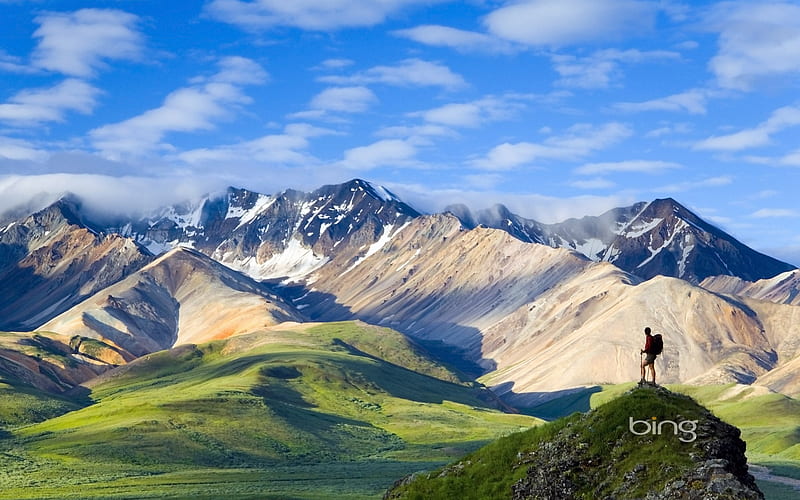 Polychrome Pass overlooking the Alaska Range Denali National Park Alaska, HD wallpaper