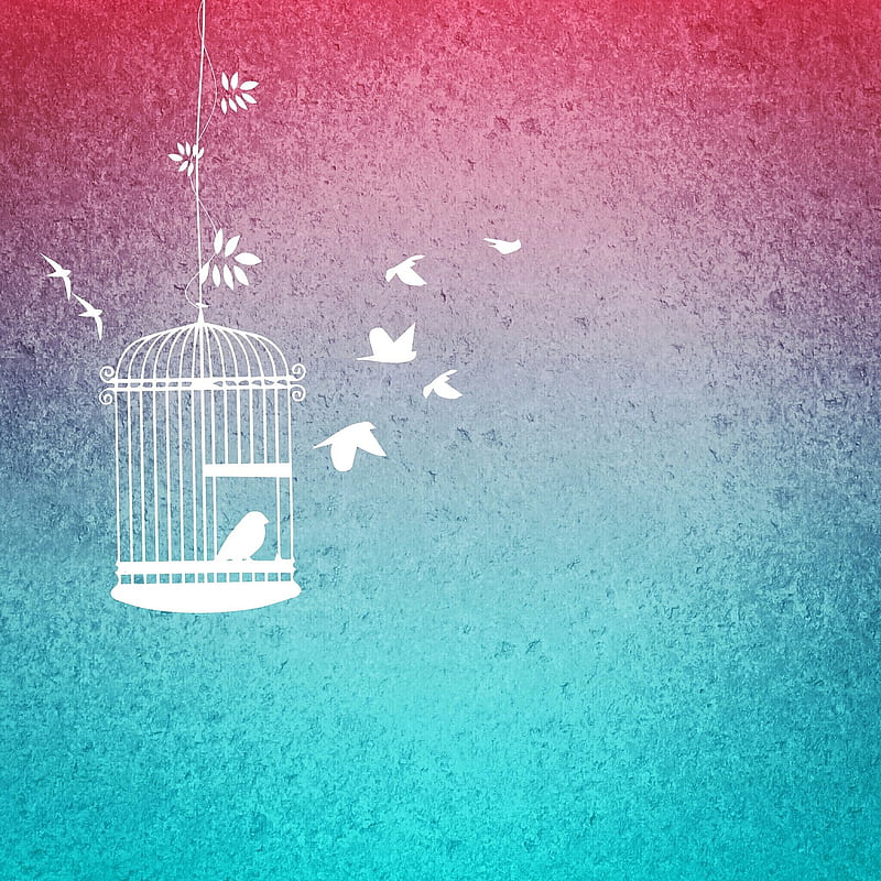 Bird Cage Birds, HD phone wallpaper