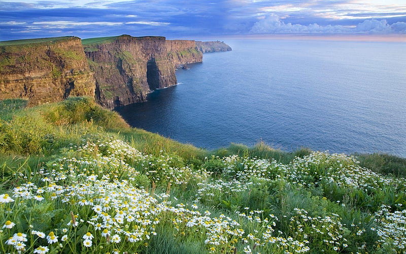 Ireland Summer, Ireland Coast, HD wallpaper | Peakpx