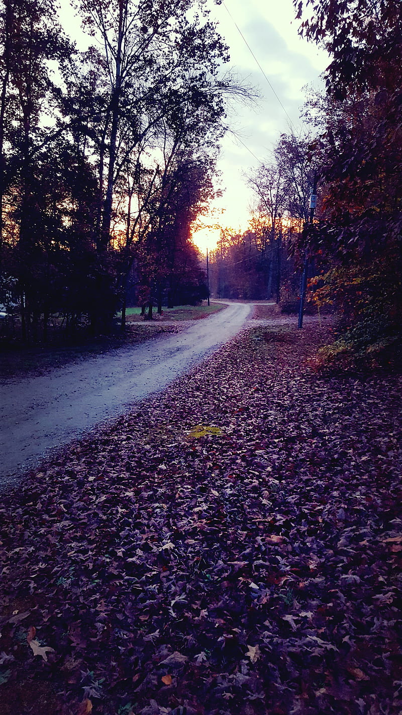 Sunrise, autumn, day, road, HD phone wallpaper