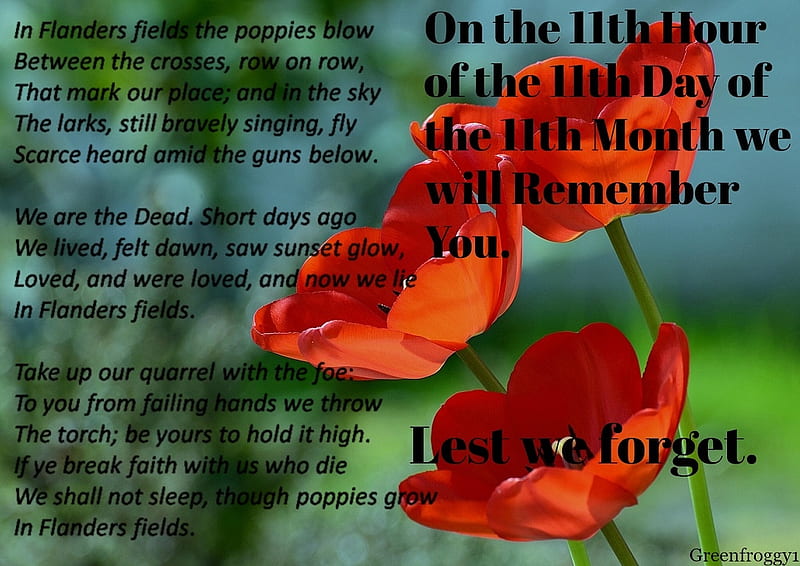 REMEMBRANCE DAY, WE, COMMENT, FORGET, LEST, HD wallpaper