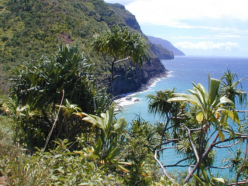 View over Hanakapiai Beach Na Pali Coast Kauai Hawaii, polynesia, shore, dramatic, beach, sand, cliffs, kauia, polynesian, north, exotic, islands, view, hawaii, vista, hanakapiai, na pali, rugged, paradise, island, tropical, coast, HD wallpaper
