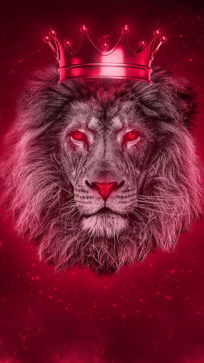 The king, animal, crown, face, head, lion, red, wild, HD phone wallpaper
