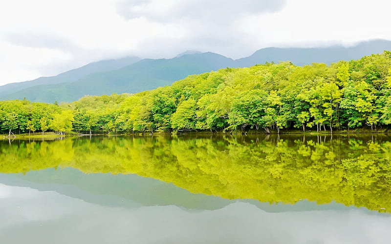 Shiretoko National Park Hokkaido Japan-natural scenery, HD wallpaper