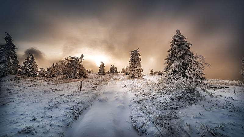 Snow Covered Landscape And Trees In Background Of Clouds Winter, HD wallpaper