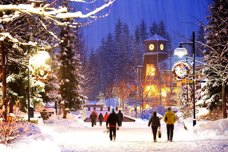 First snow fall, people walk over the snow, wonderful, frozen trees, cold day, joy, christmas time, lights, HD wallpaper