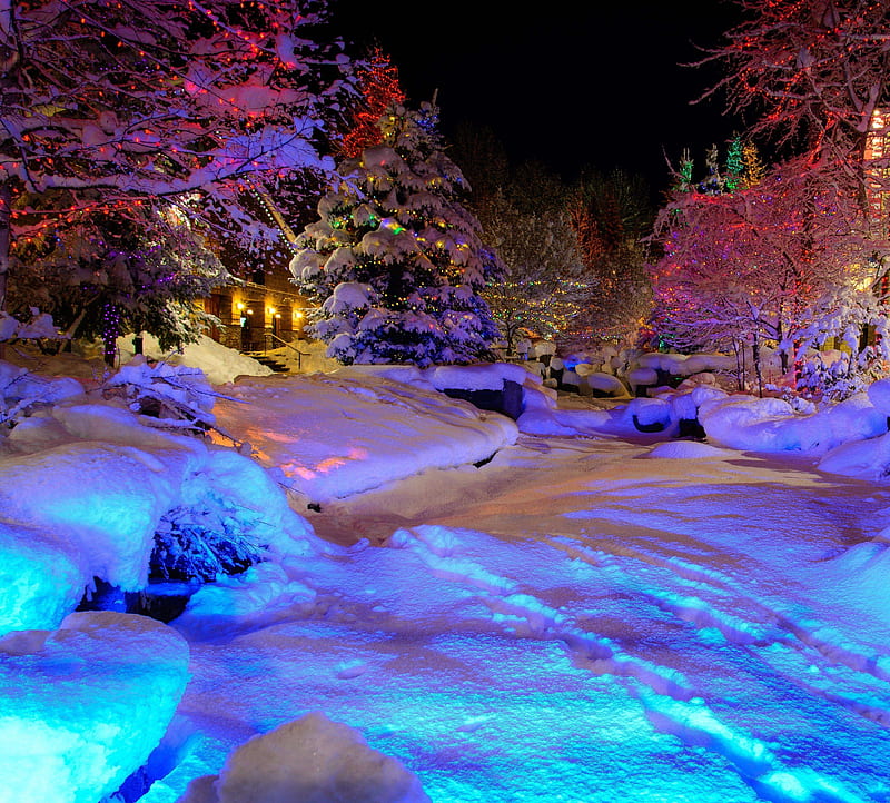 magic snow, lights, night, yule, HD wallpaper