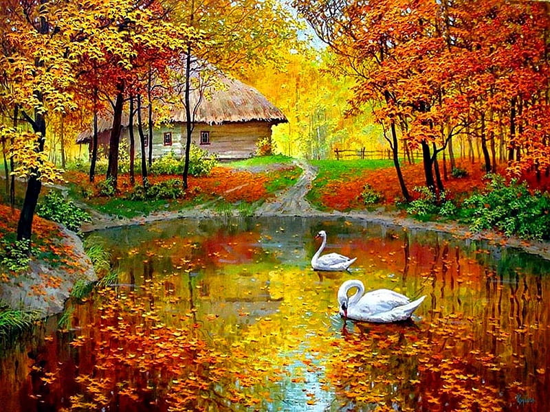 Autumn pond, fall, autumn, house, shore, cottage, falling, bungalow, cabin, bonito, foliage countryside, leaves, nice, painting, reflection, forest, lovely, creek, trees, swans, lake, pond, peaceful, branches, HD wallpaper