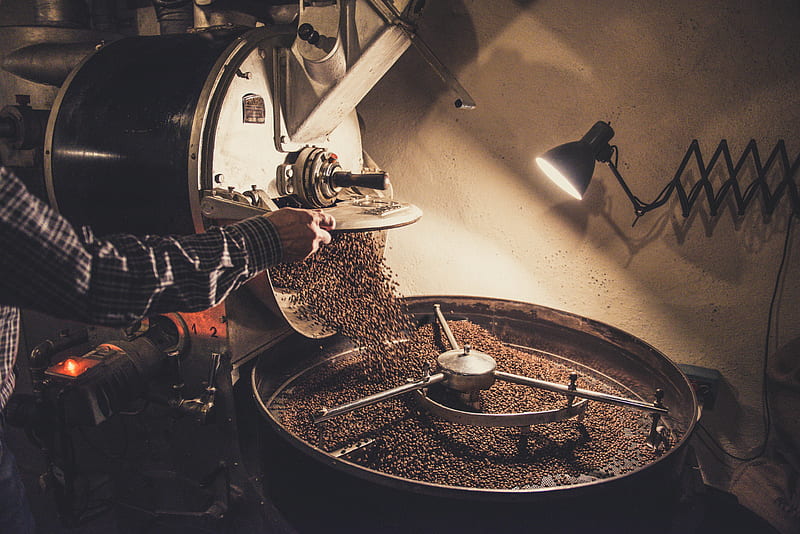 person pouring coffee beans on a machine, HD wallpaper