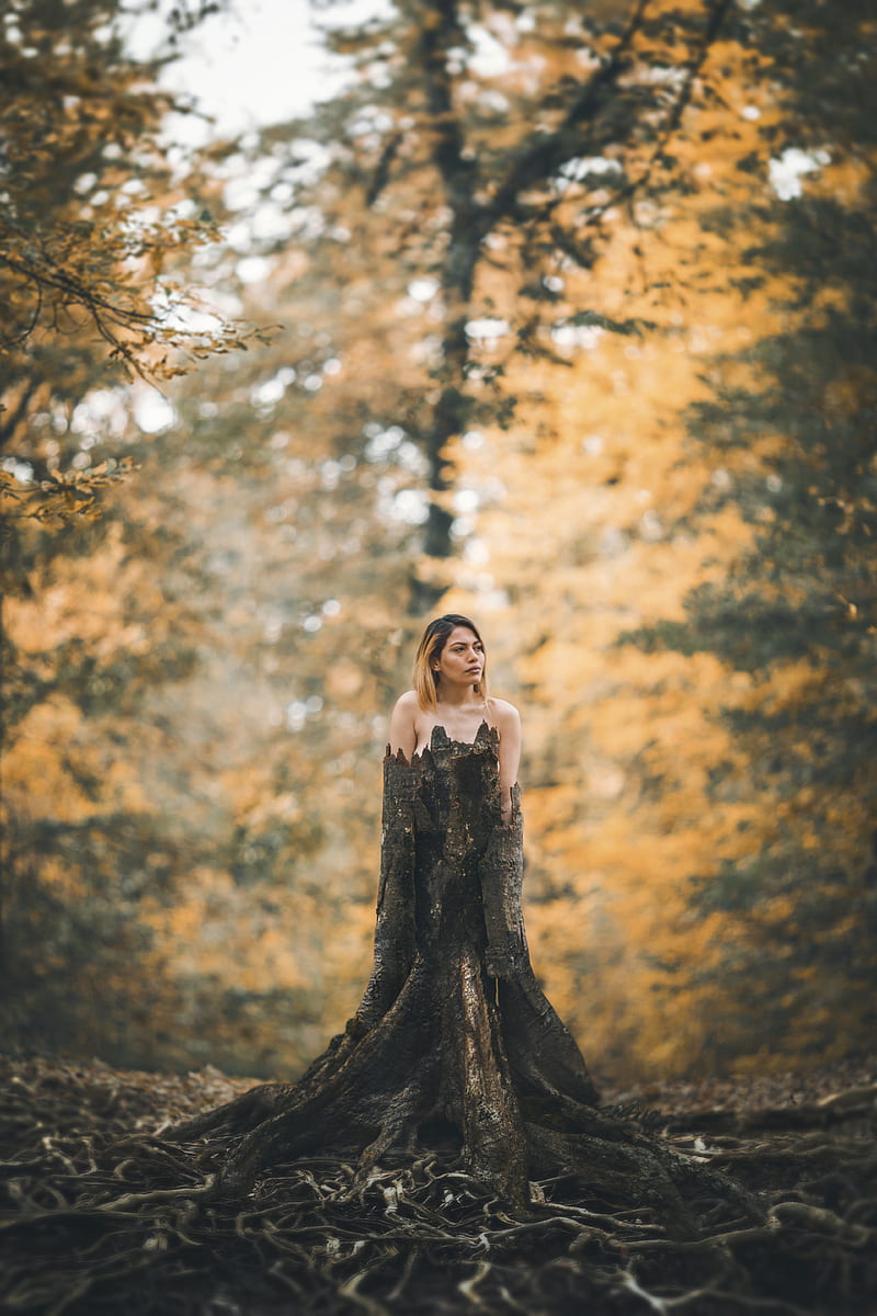 woman standing behind tree stump at forest, HD phone wallpaper