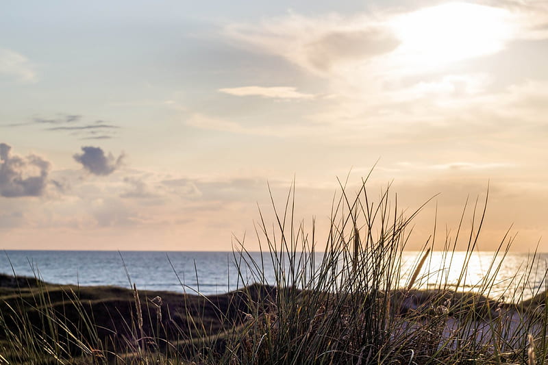North Sea Sunset #2, beach, sun, northsea, grass, north sea, nature, sunset, blue sky, HD wallpaper