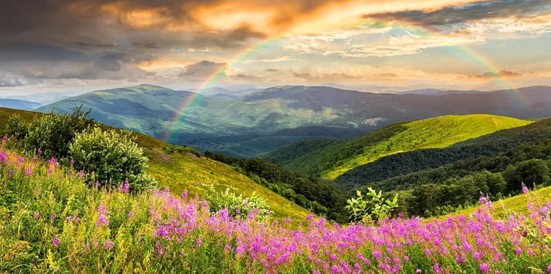 Rainbow over mountain, hills, colorful, grass, greenery, bonito, rainbow, sky, clouds, mountain, wildflowers, summer, rain, landscape, HD wallpaper