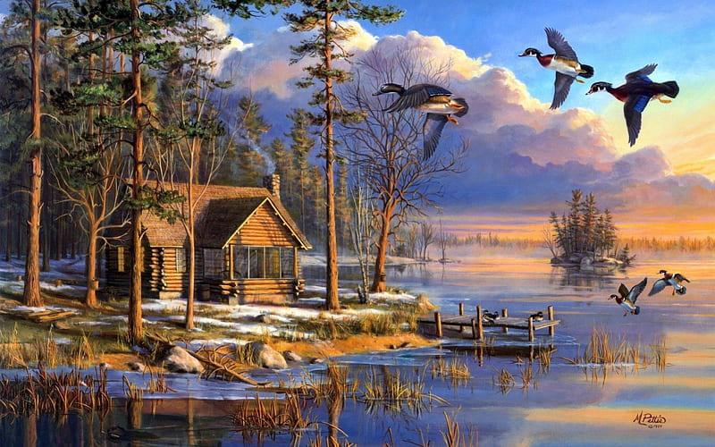 Spring nature, forest, house, flying, ducks, lake, HD wallpaper