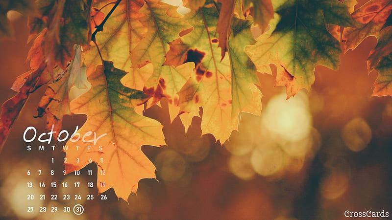 October 2019 - Leaves Calendar- October, October Birtay, HD wallpaper