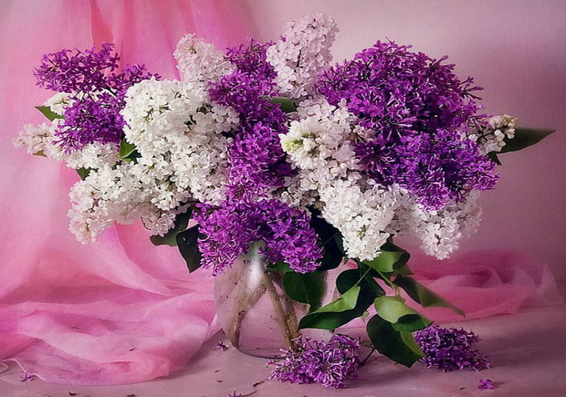 Purple and white flowers, Flowers, Vase, Lilacs, Bouquet, HD wallpaper ...