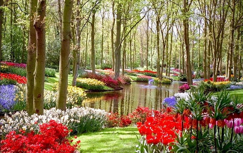 Flower Garden With Pond, BEAUTY, NATURE, POND, FLOWERS, HD wallpaper