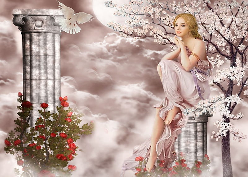 CHERRY BLOSSOMS, red, female, sky, clouds, pedestal, moon, bird, blossoms, flowers, dove, pink, HD wallpaper